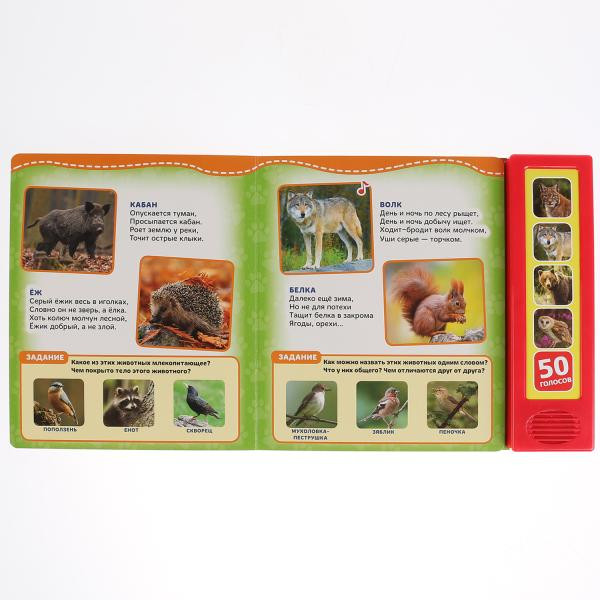 Говорящая энциклопедия «Лесные животные. В. Степанов», формат: 200х175мм, Умка
