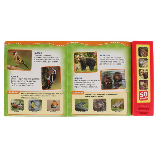 Говорящая энциклопедия «Лесные животные. В. Степанов», формат: 200х175мм, Умка
