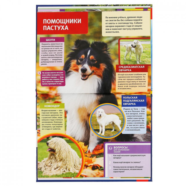 Энциклопедия «100 секретов фермы» с развивающими заданиями. Формат: 197 х 255мм 48стр, Умка