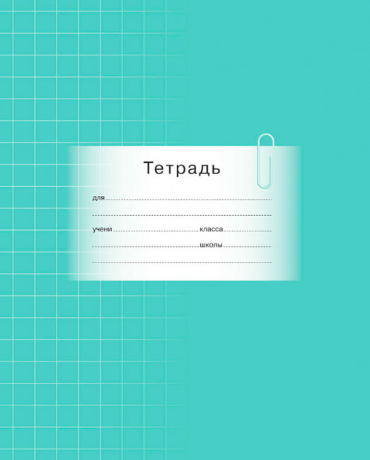 Тетрадь 12л. клетка крупная клетка Школьная (БиДжи) (20/240) Тетрадь 12л. клетка крупная клетка Школьная (БиДжи) (20/240)