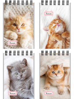 Блокнот А7 40л клетка "Маленькие котята - 1", на гребне, Проф-Пресс/Б40-6384 (16)