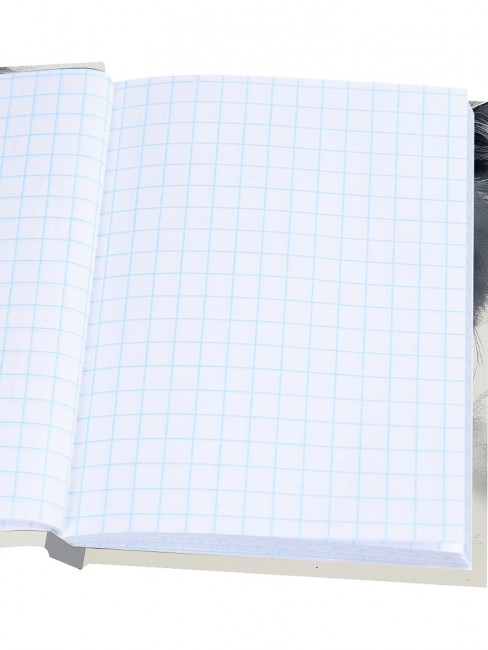 Записная книжка А6 96л клетка "Пушистый кот-5", 7БЦ, склейка, Проф-Пресс/96-7562 (20) Записная книжка А6 96л клетка "Пушистый кот-5", 7БЦ, склейка, Проф-Пресс/96-7562 (20)