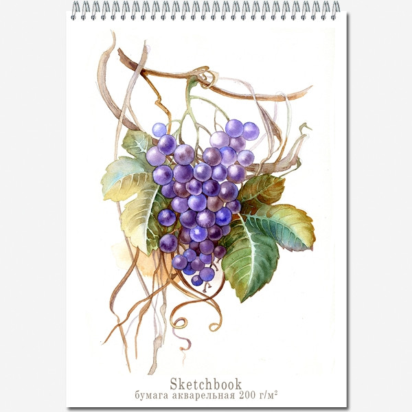 Блокнот-скетчбук А4 20л для акварели, на гребне, Полином/2718/1175247 (10) Блокнот-скетчбук А4 20л для акварели, на гребне, Полином/2718/1175247 (10)