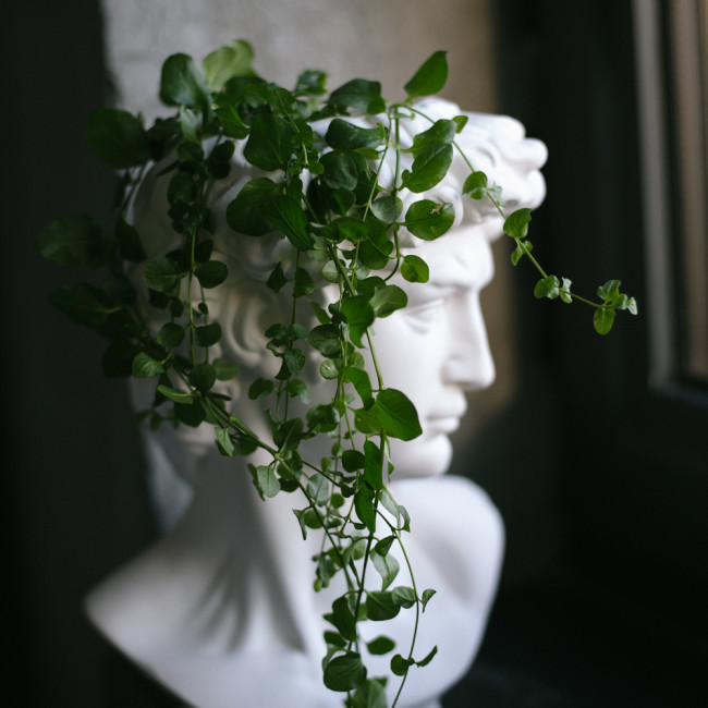 Гипсовая фигура Малевичъ голова Давида кашпо-органайзер 195267