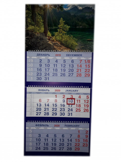Календарь трио на гребне Хвойный лес