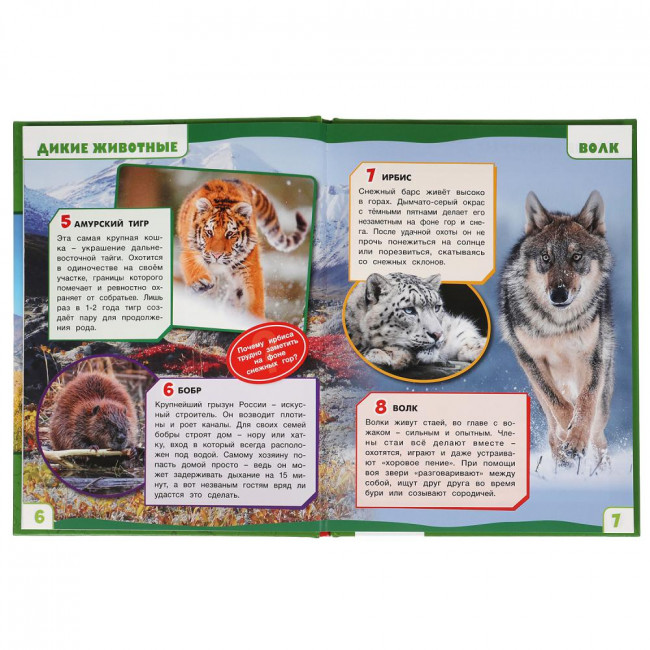 Энциклопедия с развивающими заданиями «Дикие животные» из серии «100 фактов». Формат: 165 х 215мм 48стр, Умка Энциклопедия с развивающими заданиями «Дикие животные» из серии «100 фактов». Формат: 165 х 215мм 48стр, Умка
