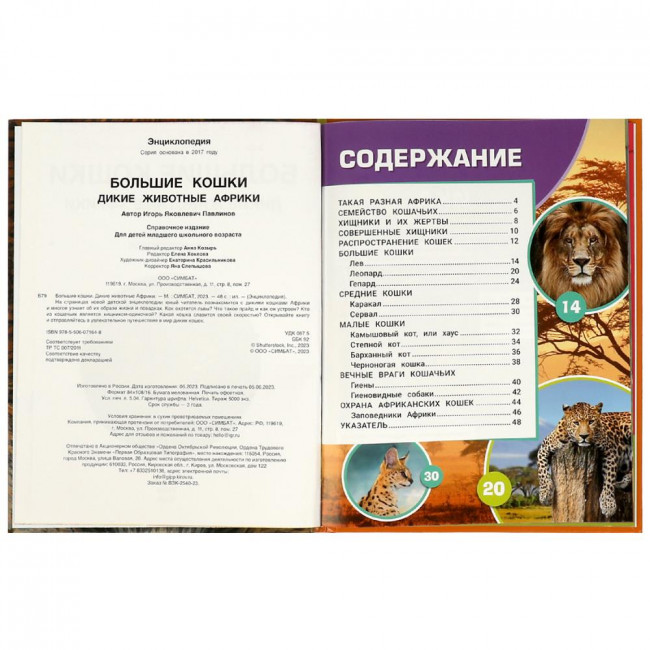 Энциклопедия «Дикие животные Африки. Большие кошки». Формат:197х255мм 48стр, Умка Энциклопедия «Дикие животные Африки. Большие кошки». Формат:197х255мм 48стр, Умка