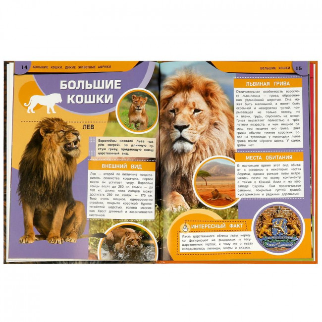 Энциклопедия «Дикие животные Африки. Большие кошки». Формат:197х255мм 48стр, Умка Энциклопедия «Дикие животные Африки. Большие кошки». Формат:197х255мм 48стр, Умка