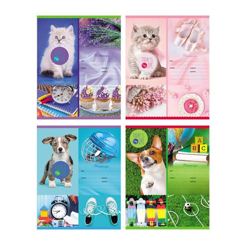 Тетрадь школьная А5 скоба 12л. одна линия "Мои увлечения" (ассорти) BG (20/240)