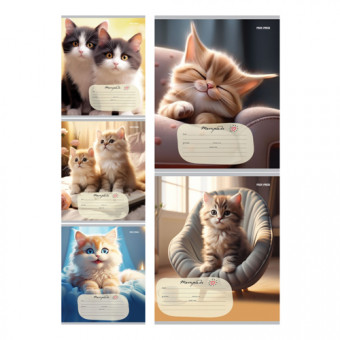 Тетрадь 24 линия "Домашние кошечки" скрепка, Проф-Пресс/24-5798 (20/160)