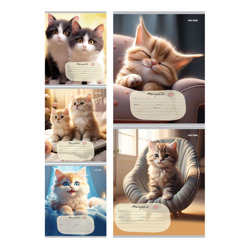 Тетрадь 24 линия "Домашние кошечки" скрепка, Проф-Пресс/24-5798 (20/160) Тетрадь 24 линия "Домашние кошечки" скрепка, Проф-Пресс/24-5798 (20/160)