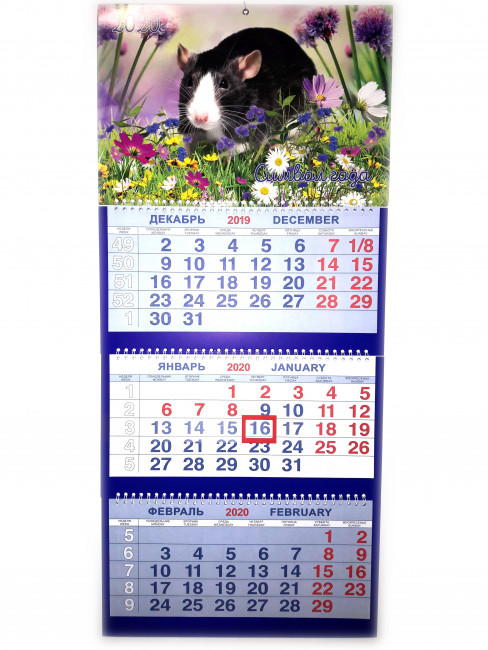 Календарь трио на гребне Черная крыска на поляне