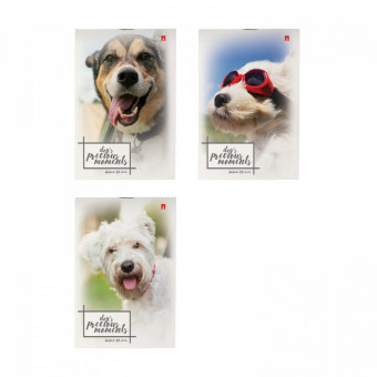 Блокнот А6 40л клетка "Щеночки", 3 вида ассорти, BV/3-40-579 (50)