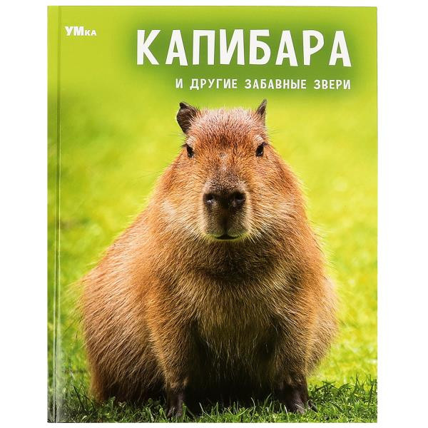 Энциклопедия «Капибара и другие забавные звери». Формат: 197х255мм 48стр, Умка