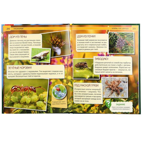 Энциклопедия с развивающими заданиями «Насекомые». Формат: 197 х 255мм 48стр, Умка Энциклопедия с развивающими заданиями «Насекомые». Формат: 197 х 255мм 48стр, Умка