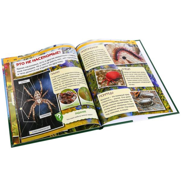 Энциклопедия с развивающими заданиями «Насекомые». Формат: 197 х 255мм 48стр, Умка Энциклопедия с развивающими заданиями «Насекомые». Формат: 197 х 255мм 48стр, Умка