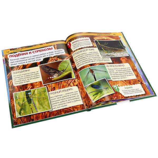 Энциклопедия с развивающими заданиями «Насекомые». Формат: 197 х 255мм 48стр, Умка Энциклопедия с развивающими заданиями «Насекомые». Формат: 197 х 255мм 48стр, Умка