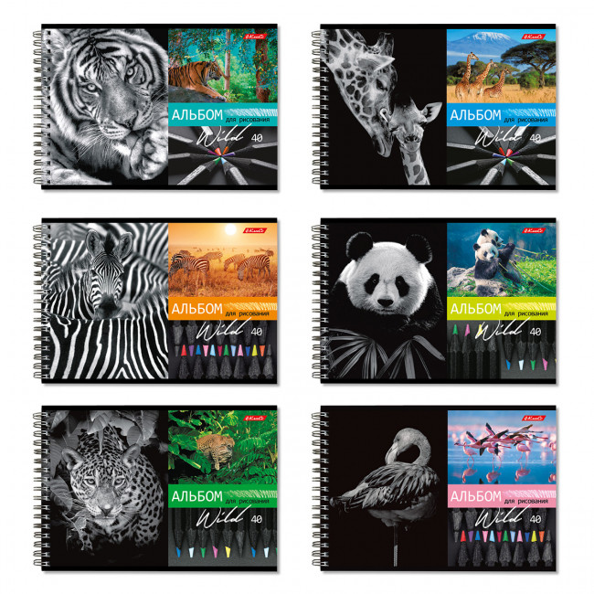 Альбом для рисования А4 40л гребень "Саванна" "Светоч" (6) Альбом для рисования А4 40л гребень "Саванна" "Светоч" (6)
