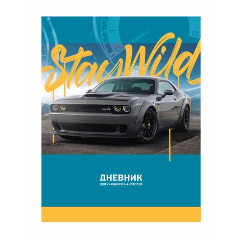 Дневник школьный А5 переплёт твёрдый 48л. 1-4 классы "Мечта гонщика" ламинация матовая выборочный лак BG (2/30)