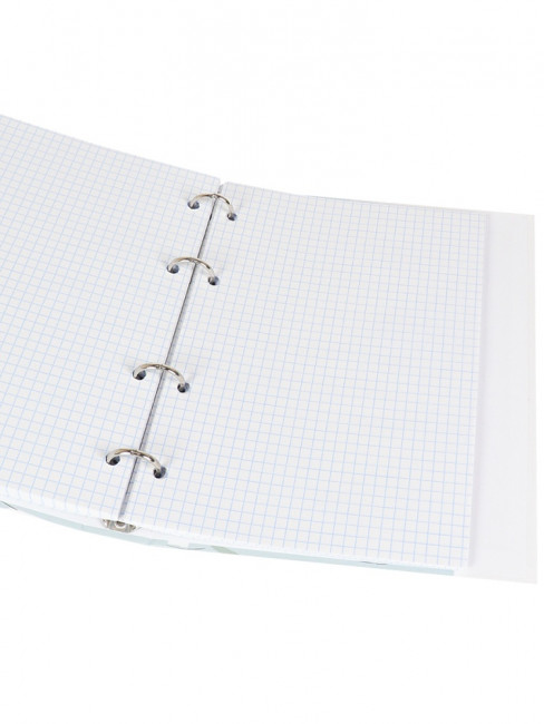 Тетрадь А5+ 100 клетка "Оживленная площадь", на кольцах, Prof-Press/100-1296 Тетрадь А5+ 100 клетка "Оживленная площадь", на кольцах, Prof-Press/100-1296