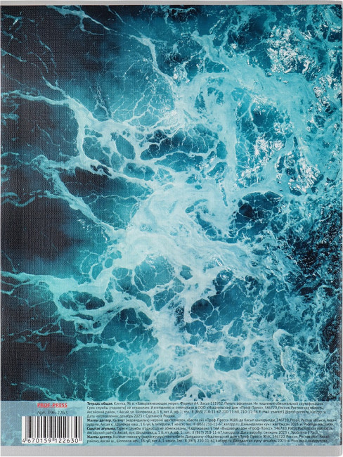 Тетрадь А4 96 клетка "Завораживающее море" скрепка, Проф-Пресс/Т96-2263 (5/30)