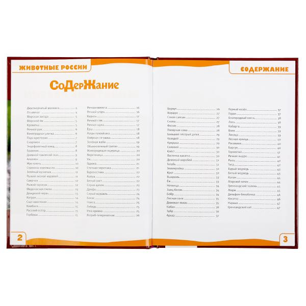 Энциклопедия с развивающими заданиями «Животные России. 100 фактов».Формат: А5 48стр, Умка Энциклопедия с развивающими заданиями «Животные России. 100 фактов».Формат: А5 48стр, Умка