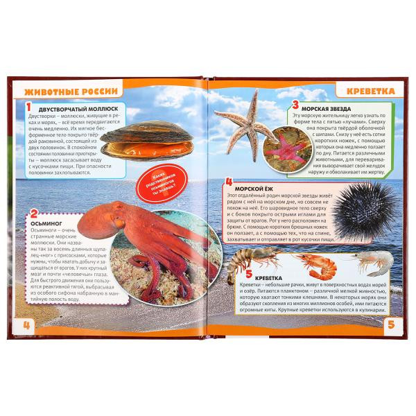 Энциклопедия с развивающими заданиями «Животные России. 100 фактов».Формат: А5 48стр, Умка Энциклопедия с развивающими заданиями «Животные России. 100 фактов».Формат: А5 48стр, Умка