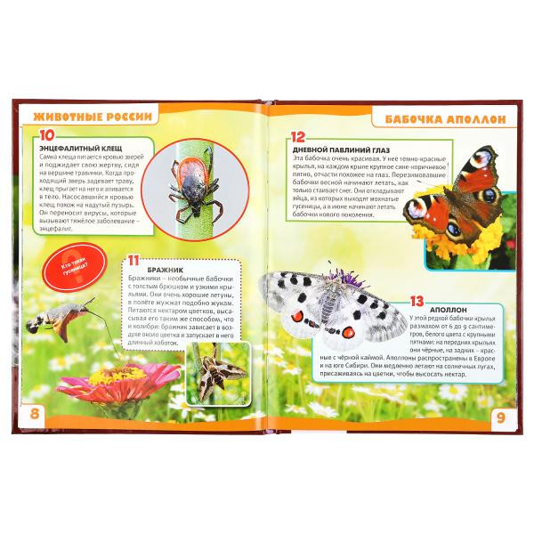 Энциклопедия с развивающими заданиями «Животные России. 100 фактов».Формат: А5 48стр, Умка Энциклопедия с развивающими заданиями «Животные России. 100 фактов».Формат: А5 48стр, Умка