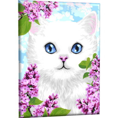 Картина по номерам "Белый котёнок" 40*50. GLA37, мягкая упаковка