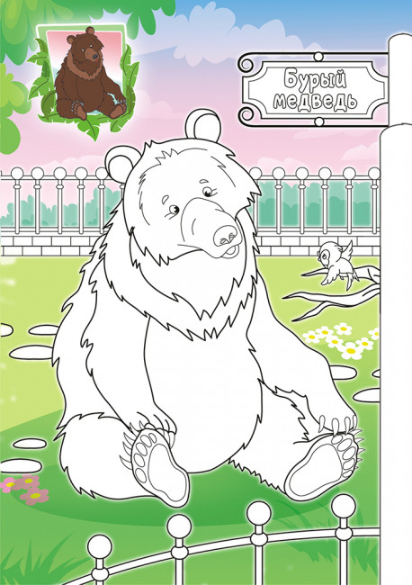 Раскраска (А5) РКС-1071