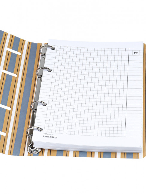 Тетрадь А5+ 120 клетка "Абстрактный натюрморт", на кольцах, Prof-Press/120-6962 Тетрадь А5+ 120 клетка "Абстрактный натюрморт", на кольцах, Prof-Press/120-6962