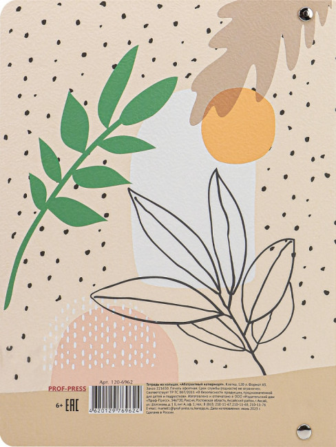 Тетрадь А5+ 120 клетка "Абстрактный натюрморт", на кольцах, Prof-Press/120-6962 Тетрадь А5+ 120 клетка "Абстрактный натюрморт", на кольцах, Prof-Press/120-6962