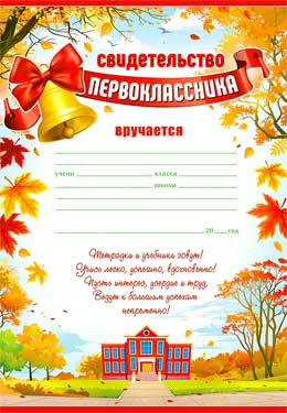 Свидетельство Первоклассника, 0-807 (20)