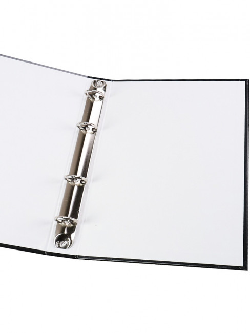 Папка на кольцах для тетради А5 "Искусство минимализма", 4 кольца, Проф-Пресс/ПК-2530 (15)