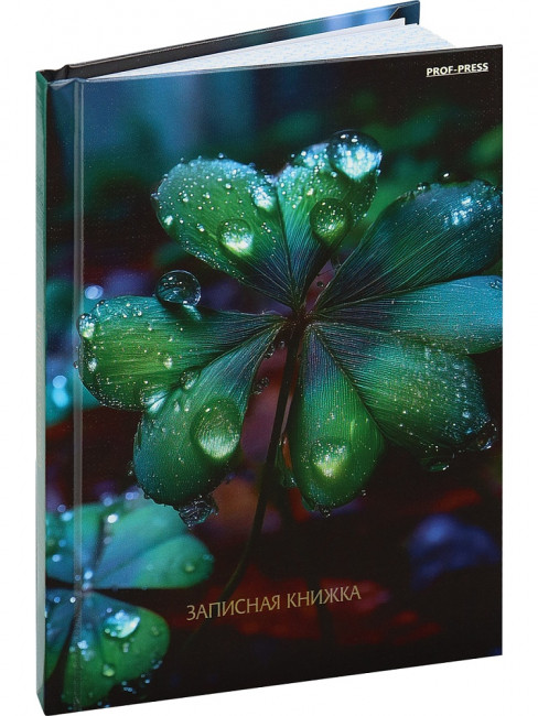 Записная книжка А6 80л клетка "Красивая природа - 6", склейка, Проф-Пресс/ЗК80-0078 (20)